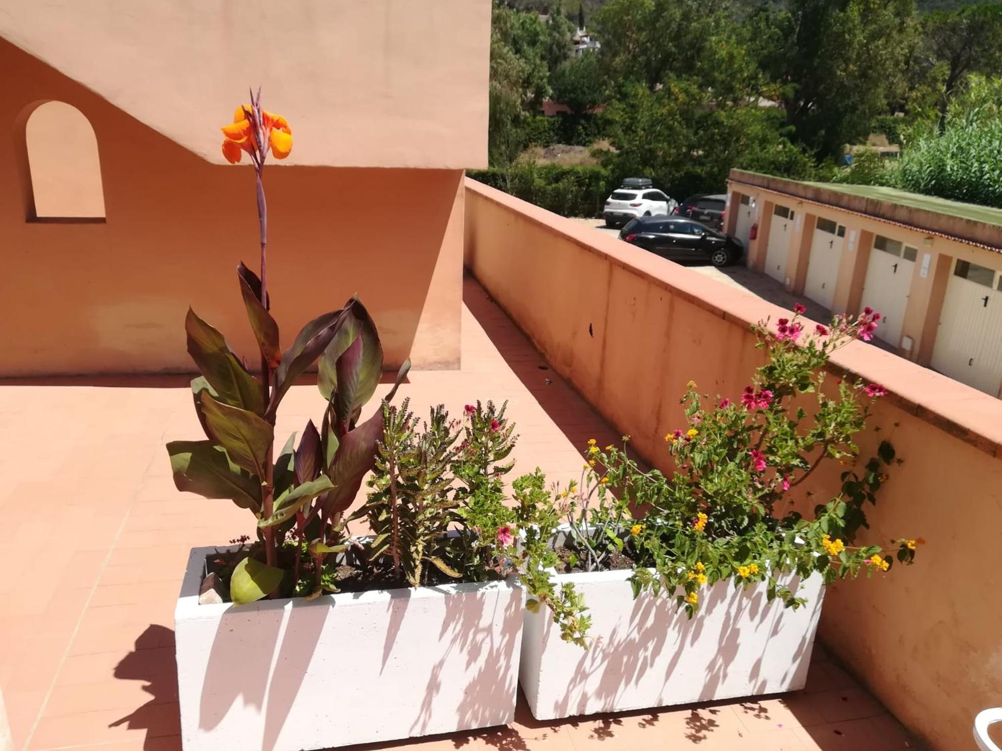 Elbamare Residence Con Piscina Nisporto Bagian luar foto